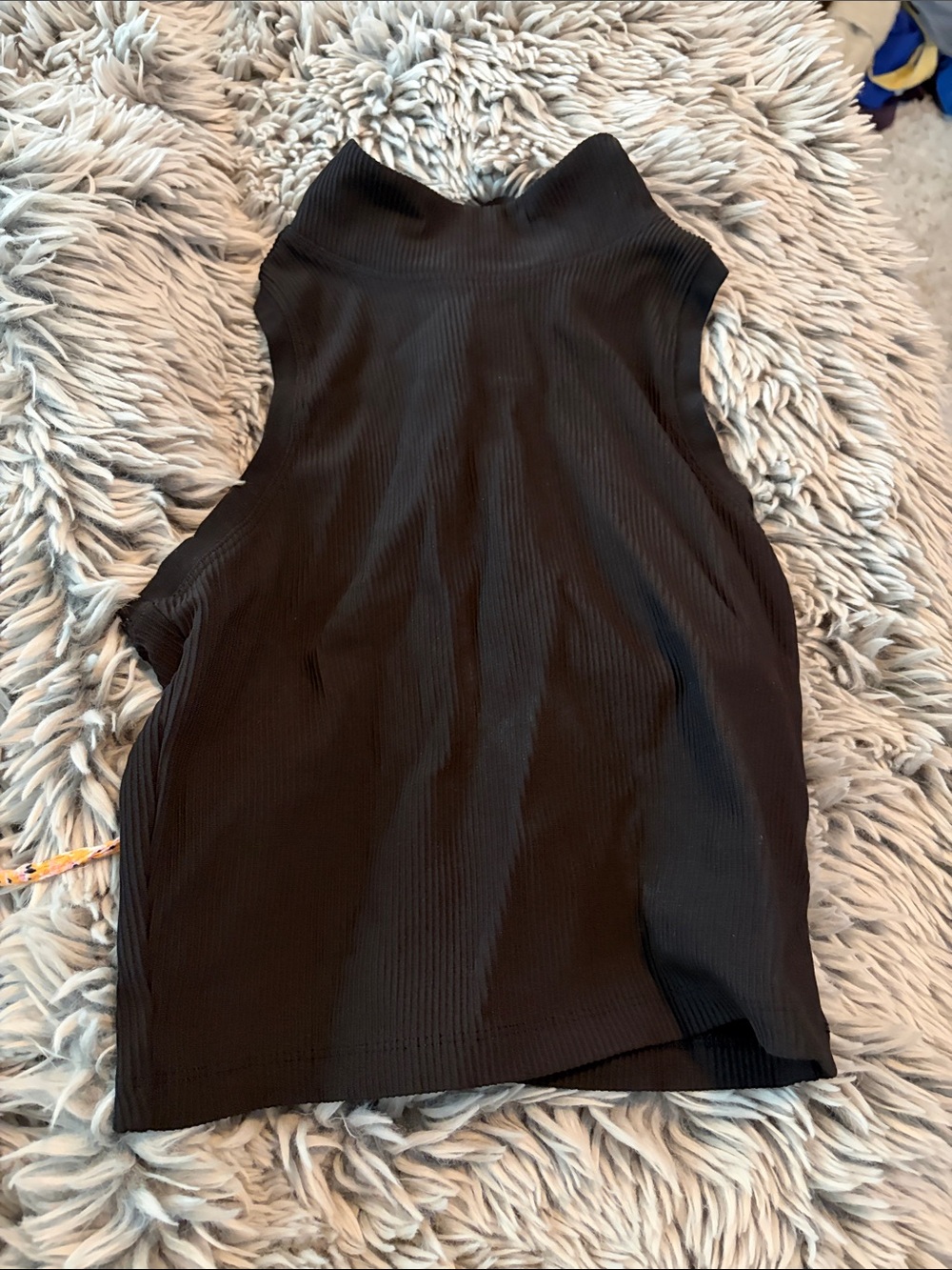 Sleeveless Black Ribbed Mock Neck Top - Women